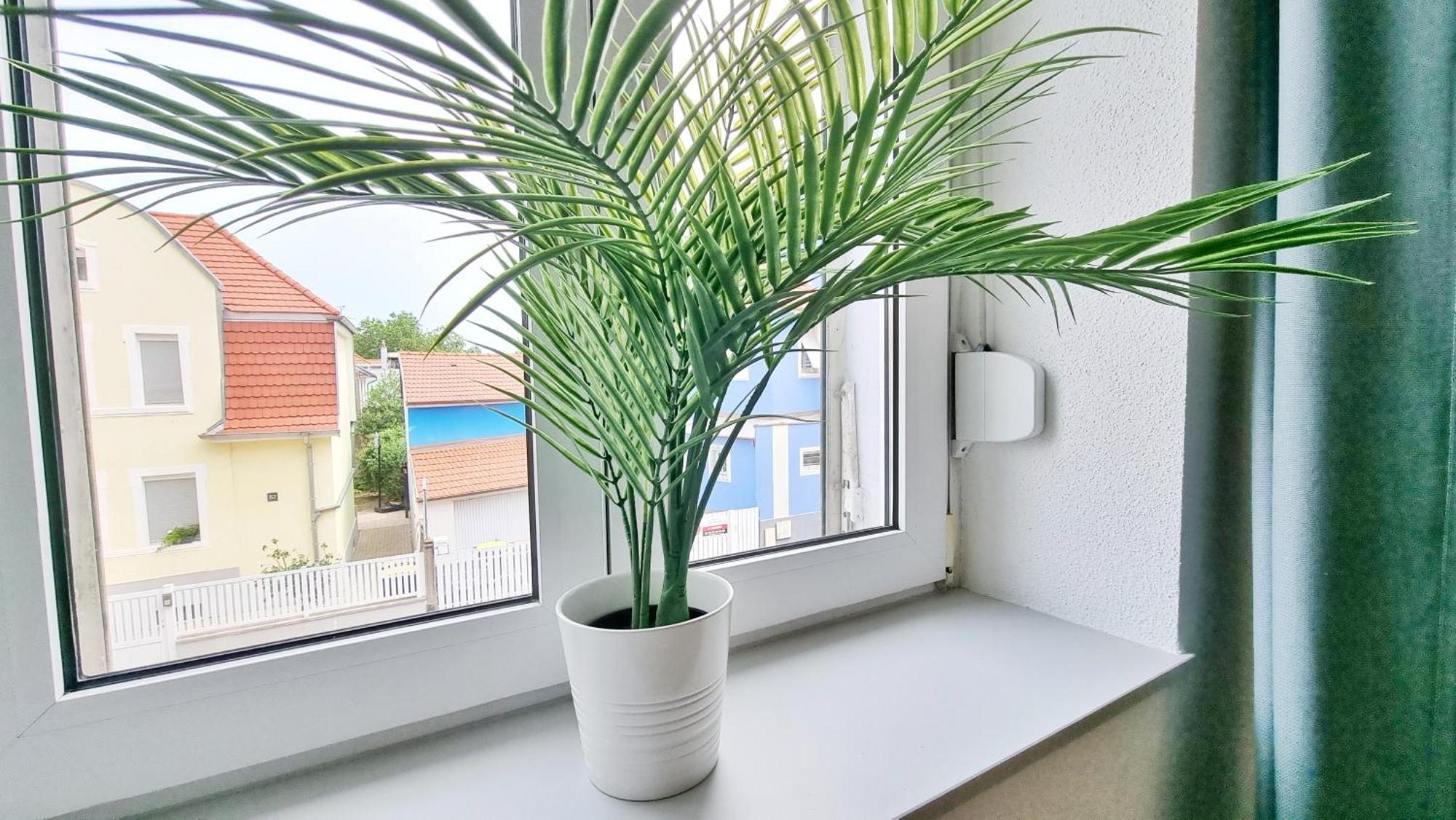 Le Triplex - 5 Chambres - 10 Pers- Fibre - Relax Bnb มูลูส ภายนอก รูปภาพ