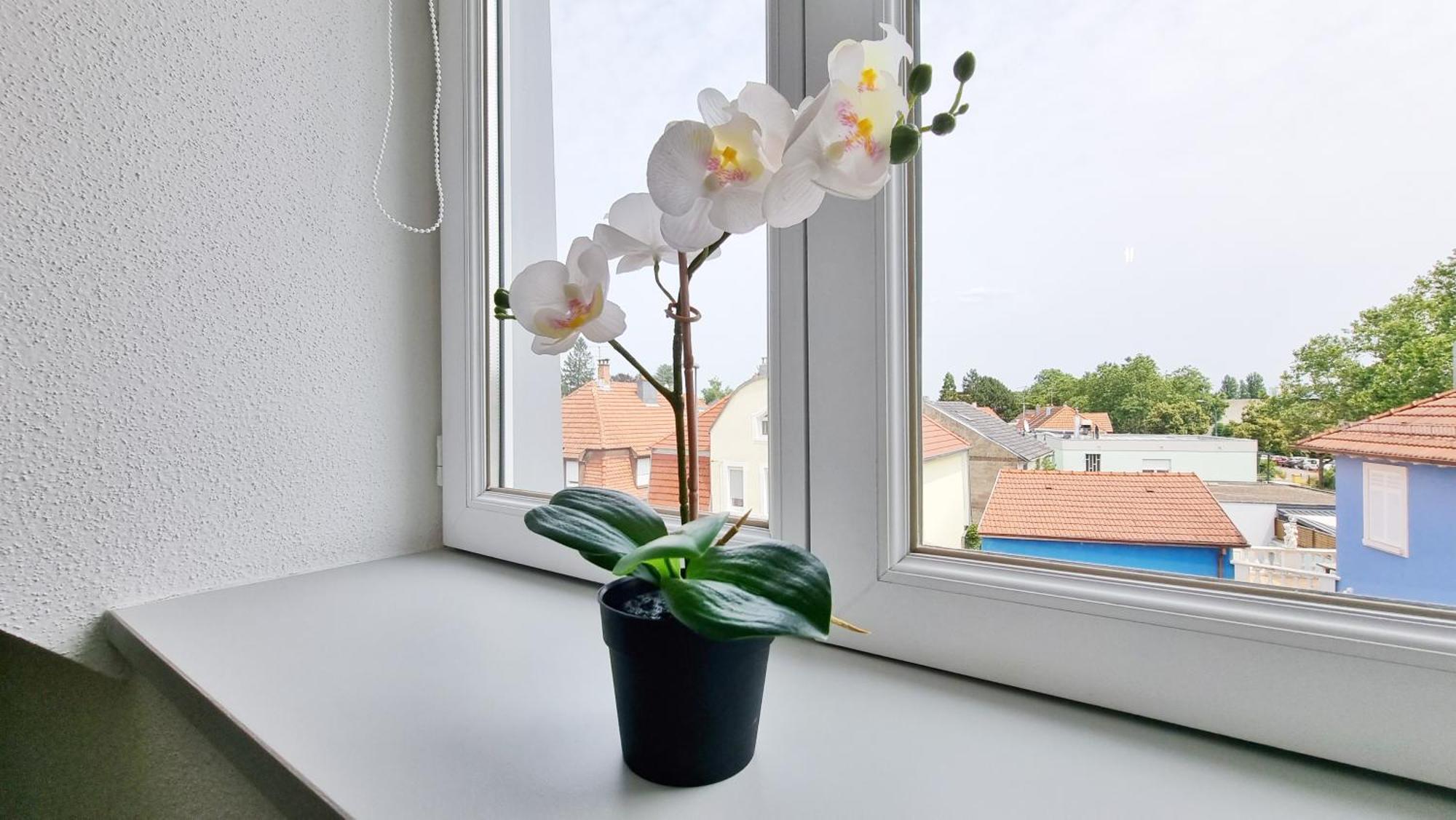 Le Triplex - 5 Chambres - 10 Pers- Fibre - Relax Bnb มูลูส ภายนอก รูปภาพ